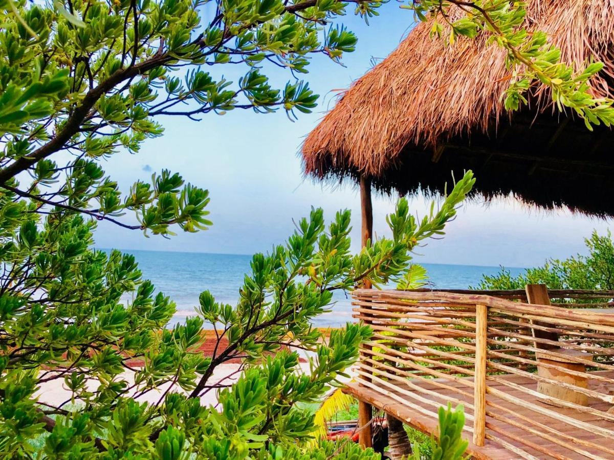 Casa Pelicanos Tulum Beach Mx - Next To Hotel Zone מראה חיצוני תמונה