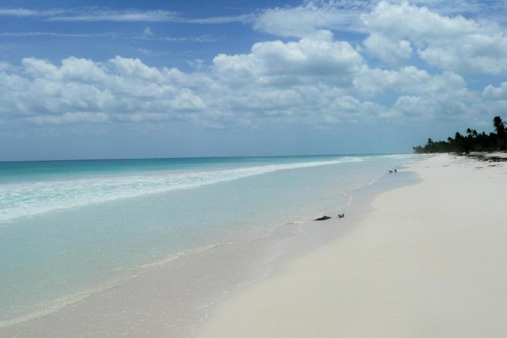 Casa Pelicanos Tulum Beach Mx - Next To Hotel Zone מראה חיצוני תמונה